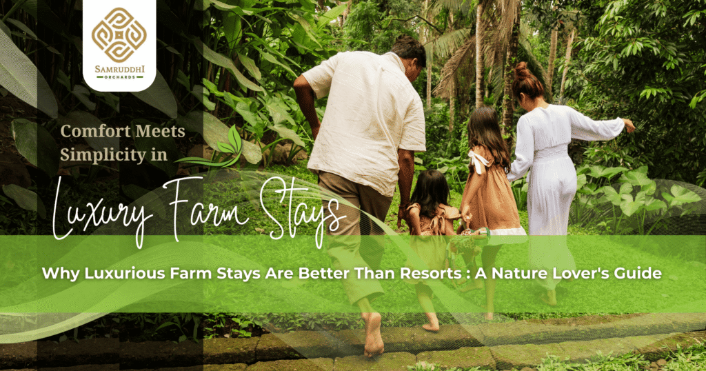 Why Luxurious Farm Stays Are Better Than Resorts
