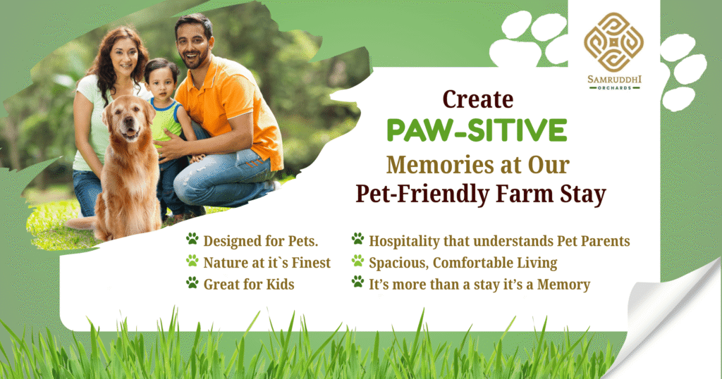 Why Samruddhi Orchards Is the Perfect Pet Getaway