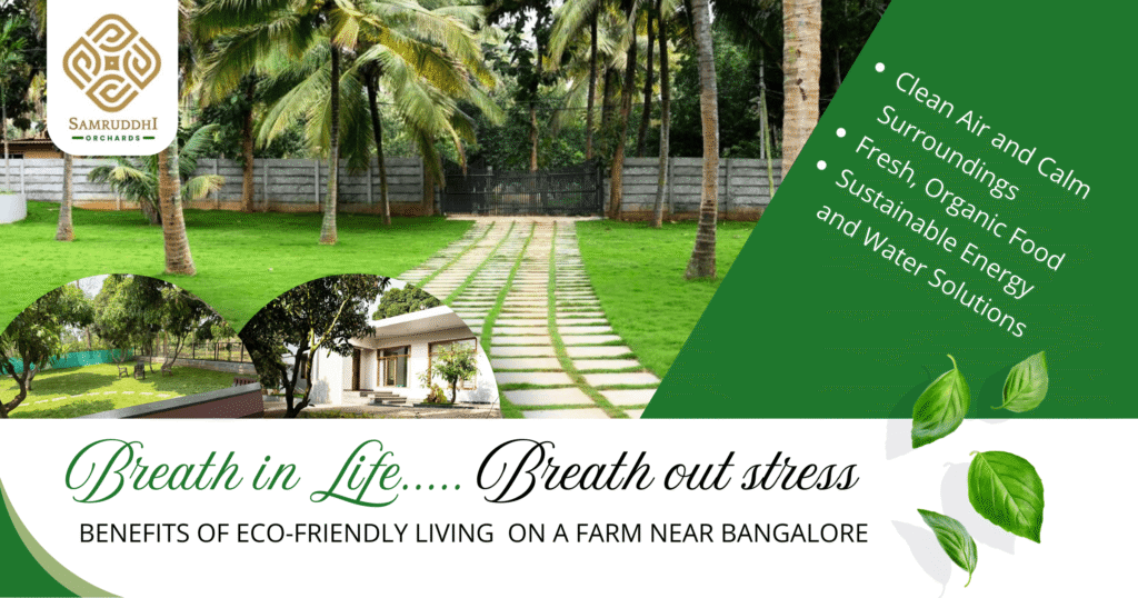Samruddhi Orchards Best Eco-Friendly Farm Living Near Bangalore