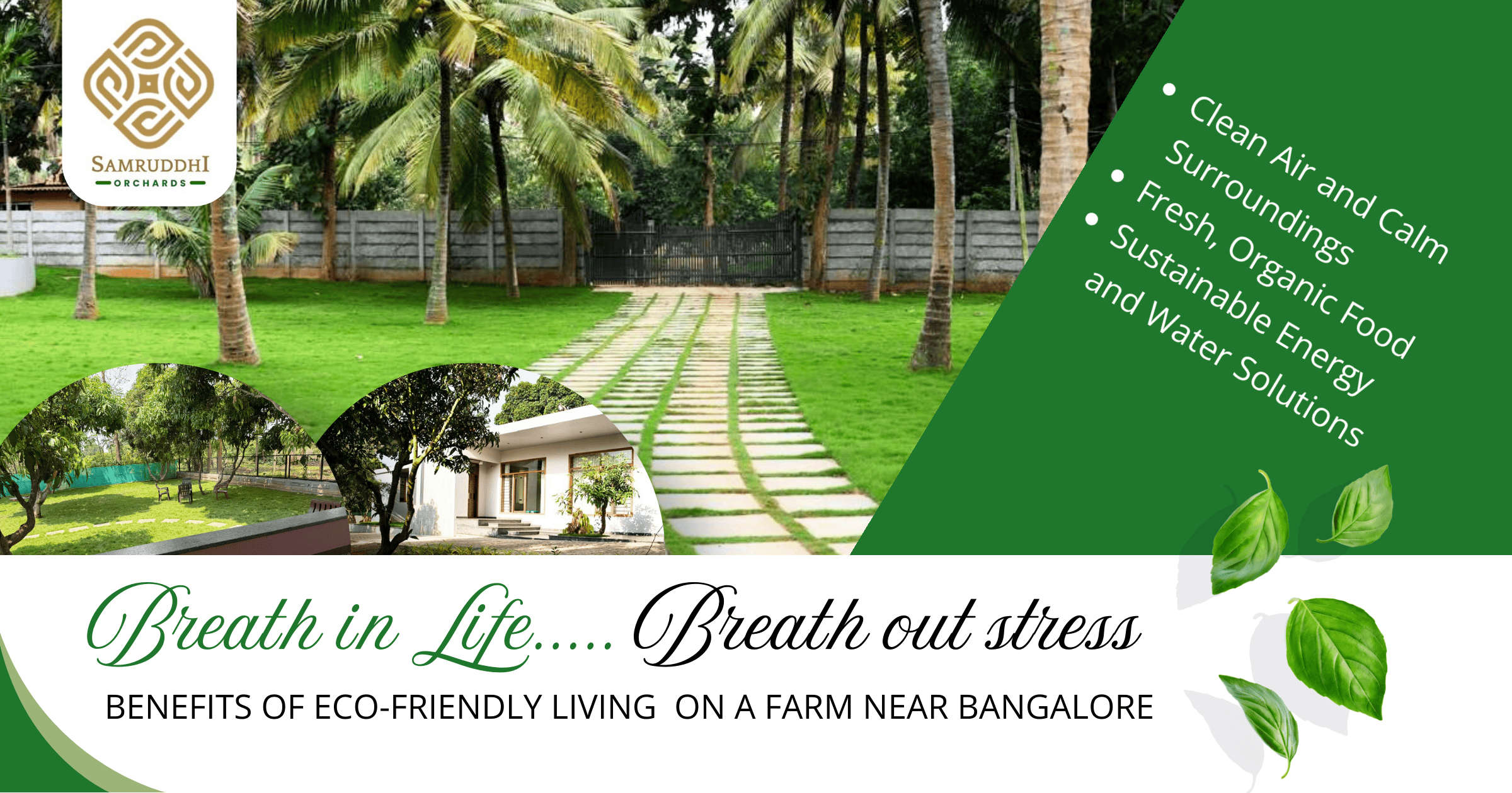 Samruddhi Orchards Best Eco-Friendly Farm Living Near Bangalore
