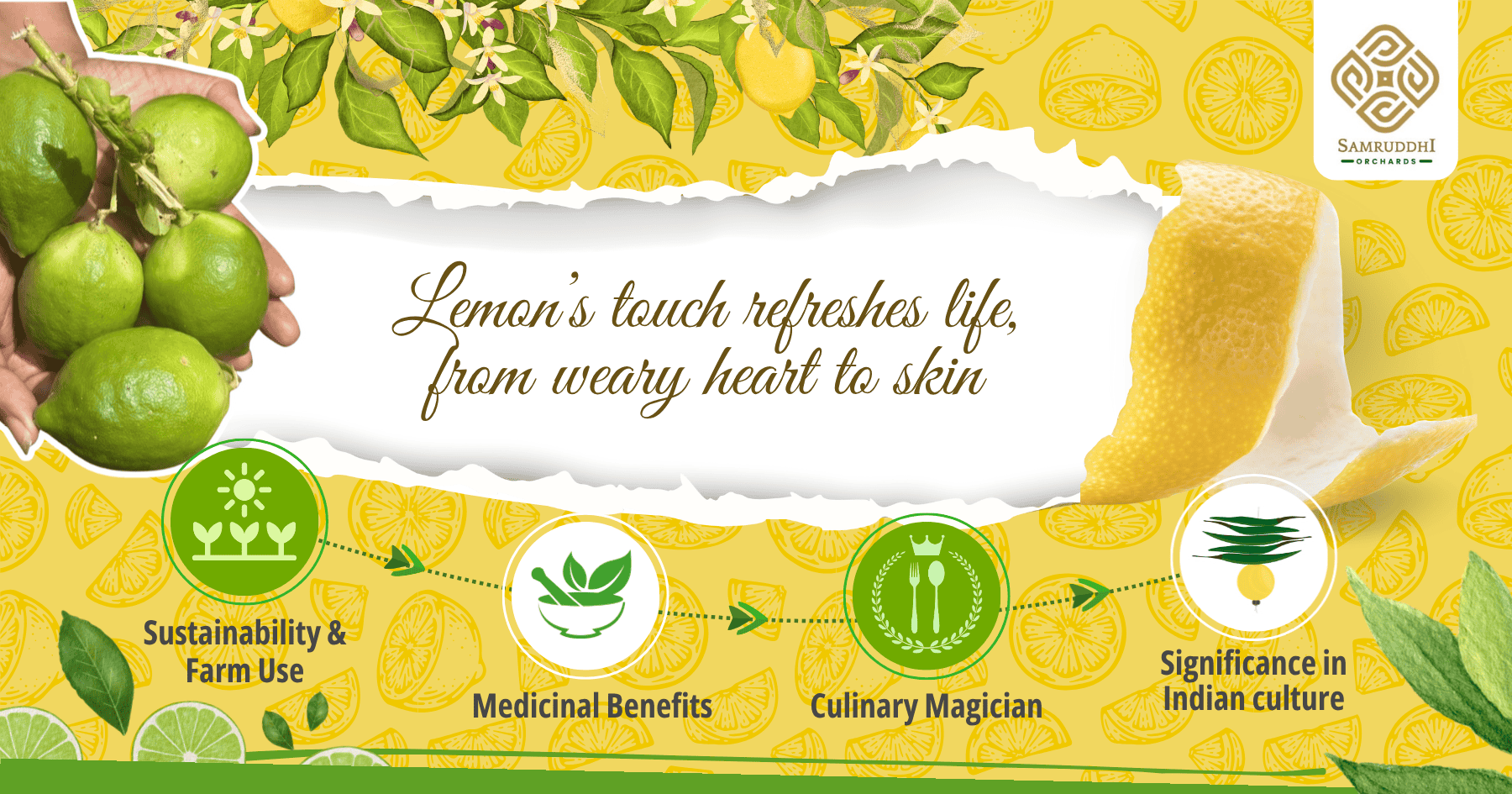 Organic Lemon and Lime Farming at Samruddhi Orchards