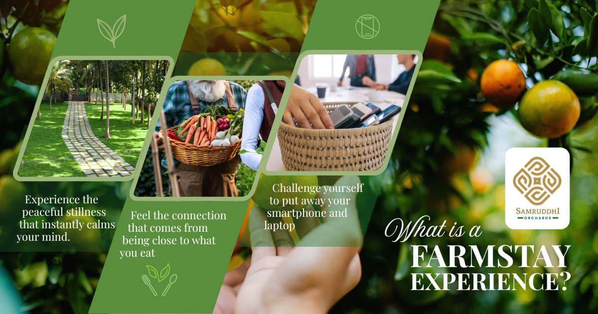 Farmstay Experience Near Bangalore for a Calm Nature Getaway