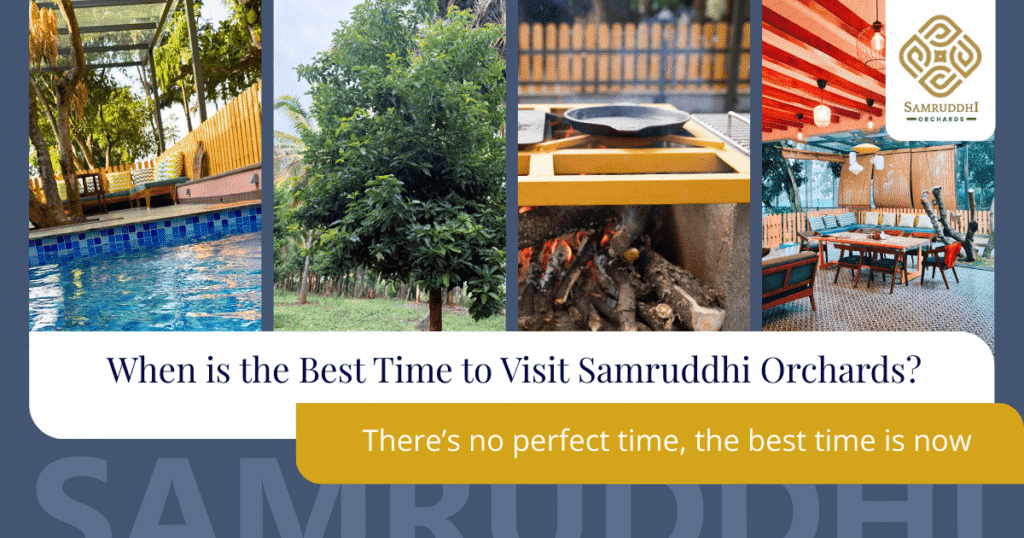 Best Time to Visit Farm Stay Any Season Is a Good Choice