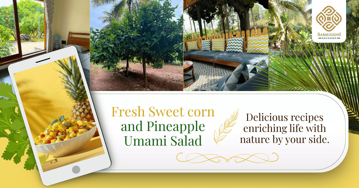 Fresh Sweet Corn Pineapple Salad Recipe